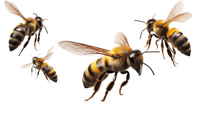 A swarm of bees flying together against a white background.
