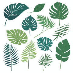 Fototapeta na wymiar Exotic leaves set tropical leaf collection vector illustration