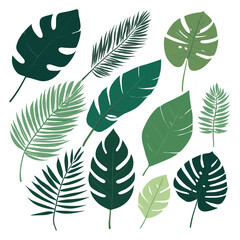 Fototapeta premium Exotic leaves set tropical leaf collection vector illustration