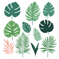 Exotic leaves set tropical leaf collection vector illustration