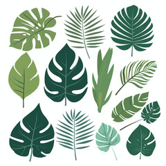 Fototapeta na wymiar Set of exotic leaves vector silhouette design isolated on white background