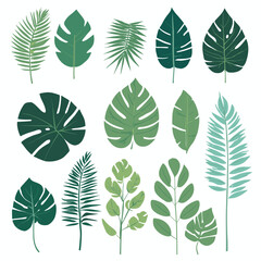 Set of exotic leaves vector silhouette design isolated on white background