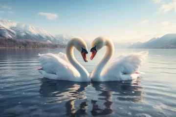 Rolgordijnen Two swans forming a heart shape with their necks on a tranquil lake, symbolizing love and serenity. Concept of romantic love. Generative Ai. © Sebastian