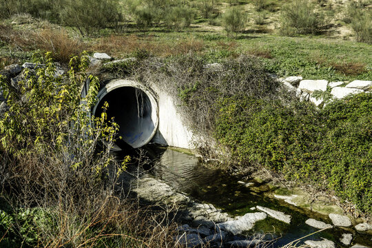 a cement drainage pipes with stagnant water