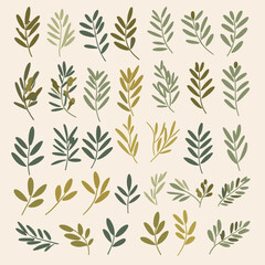 Fototapeta premium Olive branches illustration leaves set vector collection