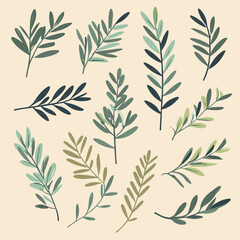 Fototapeta premium Olive branches illustration leaves set vector collection
