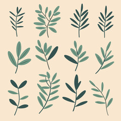Fototapeta premium Olive branches illustration leaves set vector collection