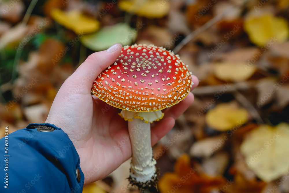 Poster mushroom in hand. background with selective focus and copy space