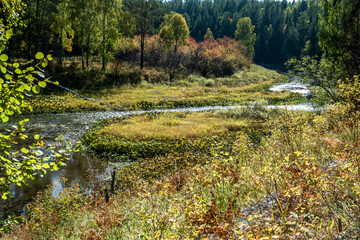 The river near the trees in autumn.