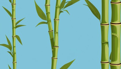 Innovative Vector Design of Lucky Bamboo