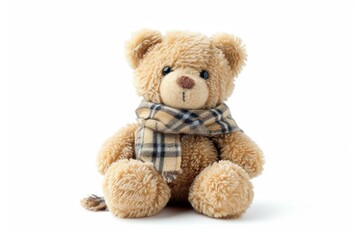 Isolated teddy bear on white background