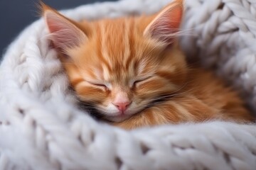 Obraz premium Tiny red kitty naps on white fur blanket