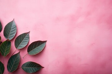 A pink concrete wall with a textured surface and unevenness is adorned with the silhouette of rose leaves.