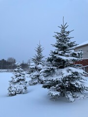 Beautiful winter sceneries in Gatineau, Quebec, Canada. Snow, sunset, ice...