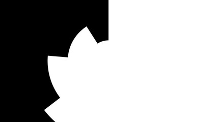 black and white video transition with circle radial shapes drawing and fill up white color of the screen frame for smooth video cut on your social media or channel video content