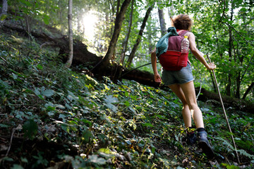 Naklejka na ściany i meble Woman Backpack Adventurer Discovery Hike trough A Forest Wilderness Backlit By the Sun - Ascending Rear View