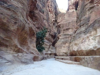 ペトラ遺跡・シーク　ヨルダン・ワディムーサ