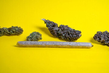 Medical cannabis marijuana, jointed herb drugs.