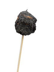 Burnt marshmallow on a stick