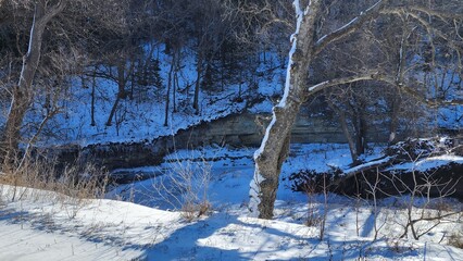 Winter, creek, snow, trees, cold