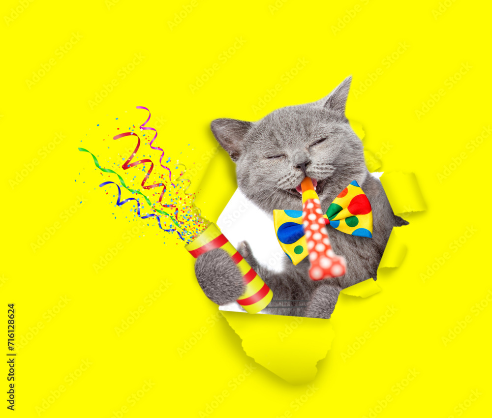 Poster happy cat wearing tiw bow looks through the hole in yellow paper, blows in party horn and holds expl