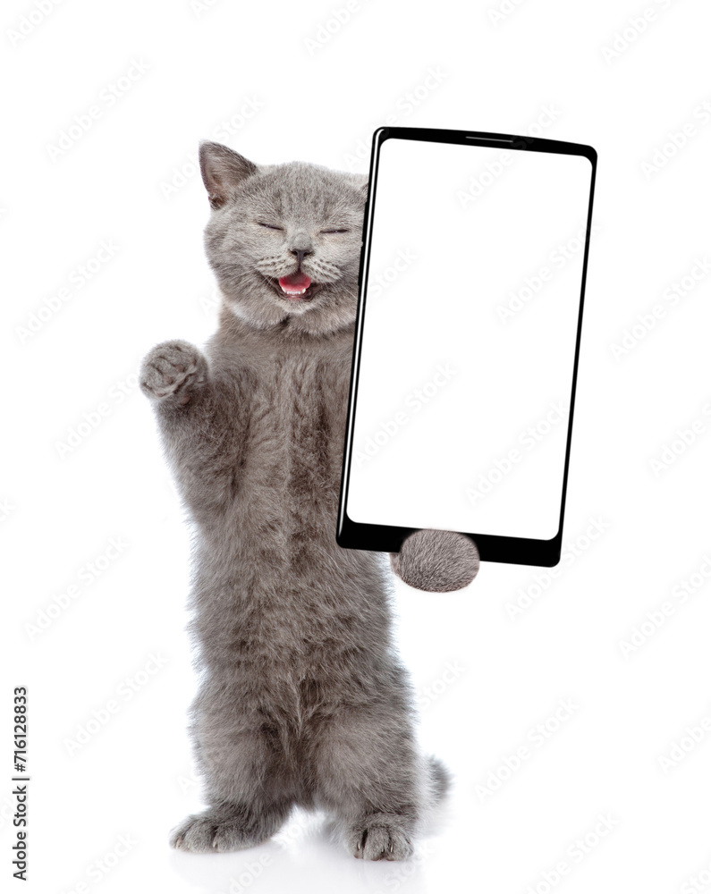 Poster happy cat holds big smartphone with white blank screen in it paw, showing close to camera. isolated 