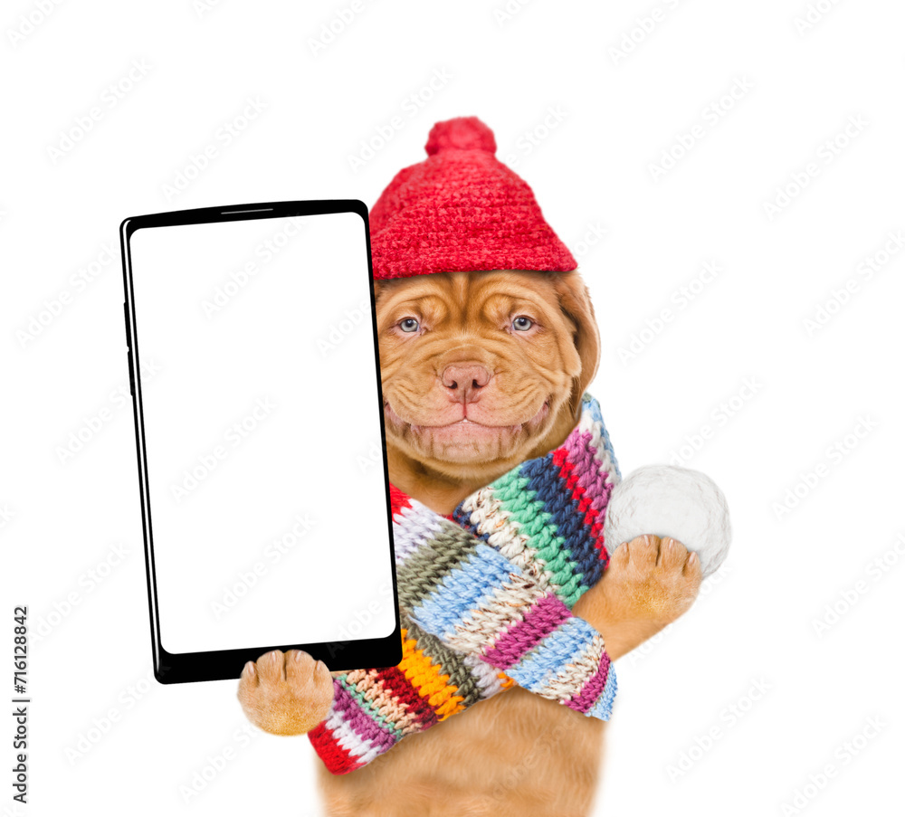 Poster smiling puppy wearing a warm hat with pompon and knitted woolen scarf holds snowball and holds smart