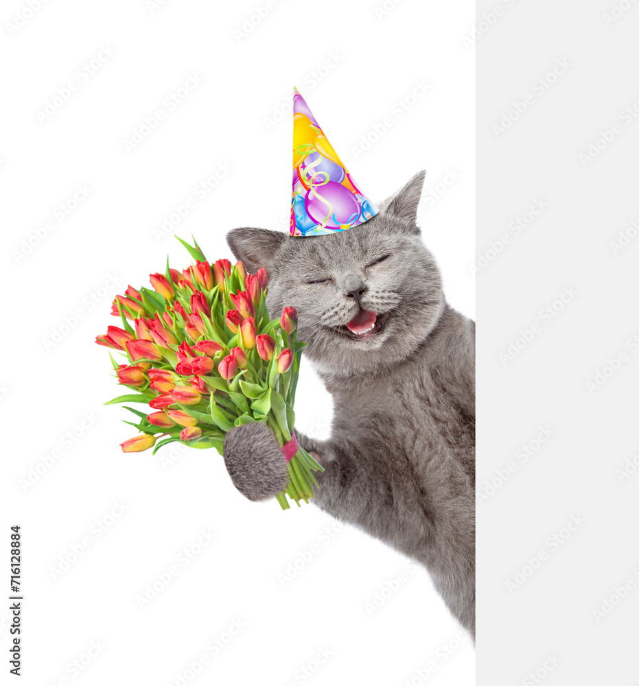 Poster happy cat wearing party cap holds bouquet of tulips and looks from behind empty white banner. isolat