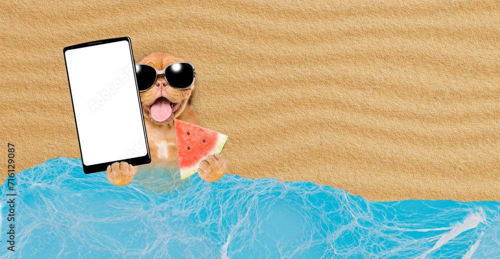 Poster funny mastiff puppy wearing sunglasses lying at beach holding watermelon and showing big smartphone 