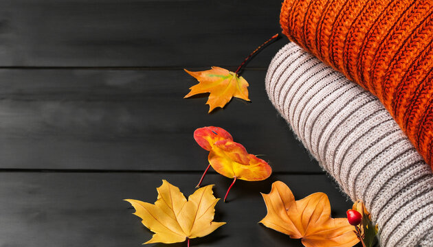 Cozy sweaters and autumn leaves on the black wooden background. High quality photo