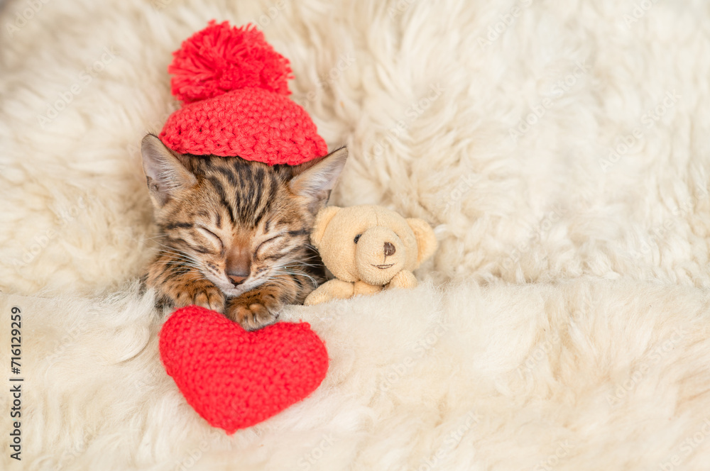 Poster cute bengal kitten wearing tiny warm hap lying with favorite toy bear and red heart under white warm