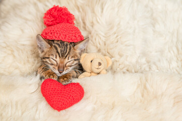 Cute bengal kitten wearing tiny warm hap lying with favorite toy bear and red heart under white...