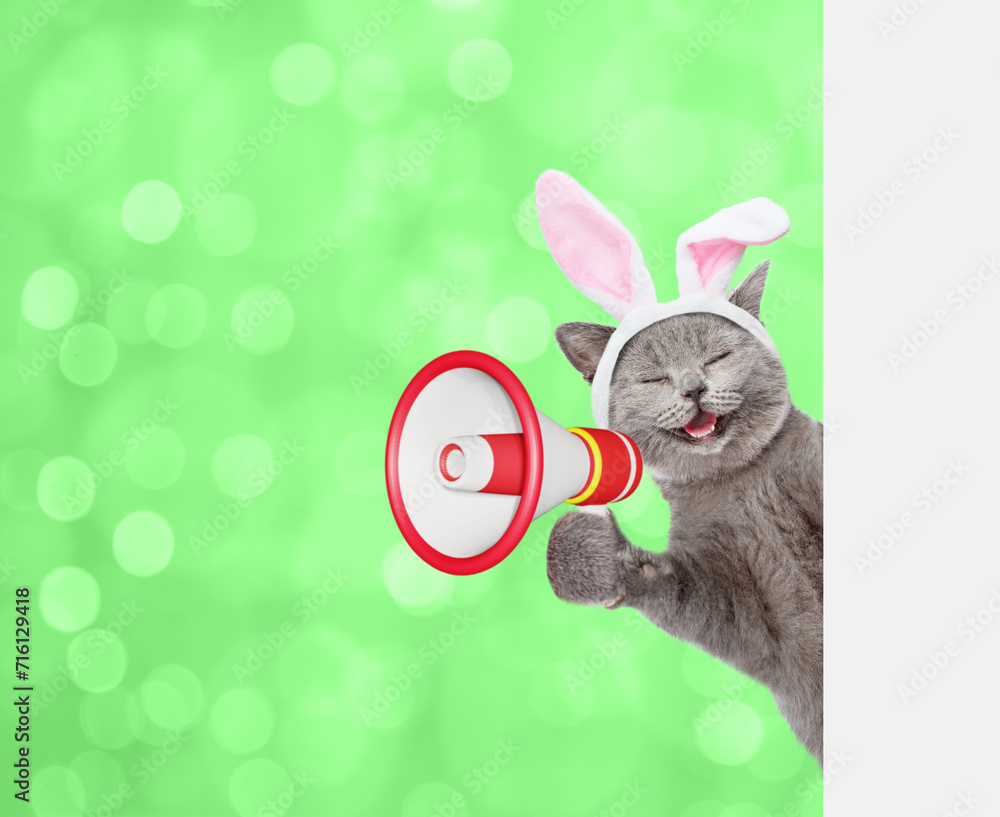 Poster happy kitten wearing easter rabbits ears screaming into a megaphone and looking from behind empty wh