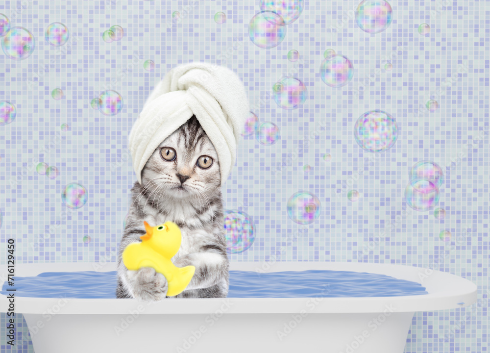 Aufkleber cute kitten with towel on it head takes the bath with rubber duck at home. empty space for text