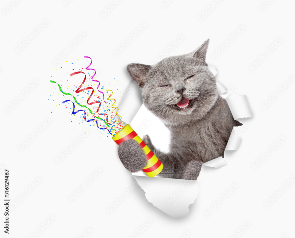 Aufkleber Happy cat looks through the hole in white paper and holds exploding firecracker
