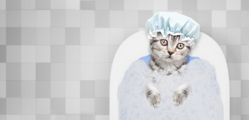 Cute kitten wearing shower cap takes the bath with foam at home. Top down view. Empty space for text
