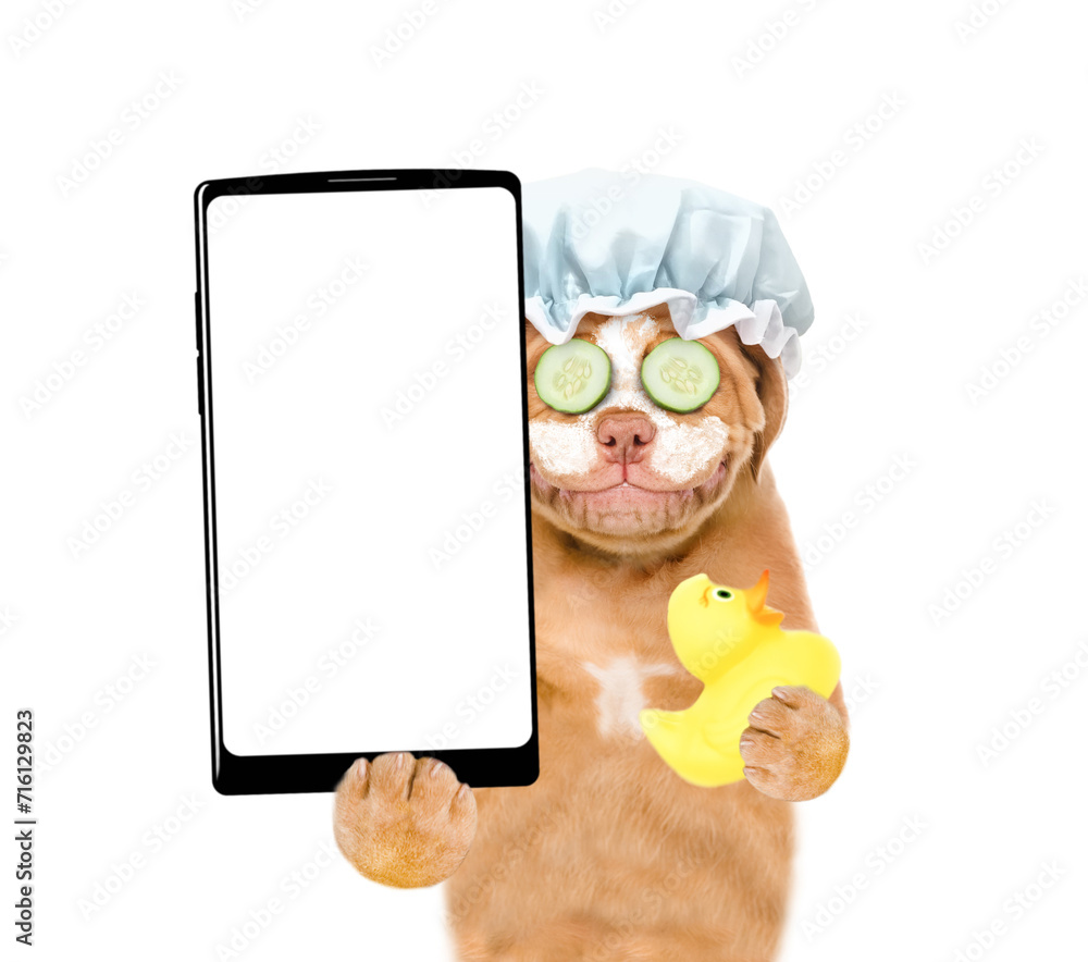 Poster Mastiff puppy wearing shower cap with pieces of cucumber on it eyes and with cream on it face holds  rubber suck and big smartphone with white blank screen in it paw. isolated on white background