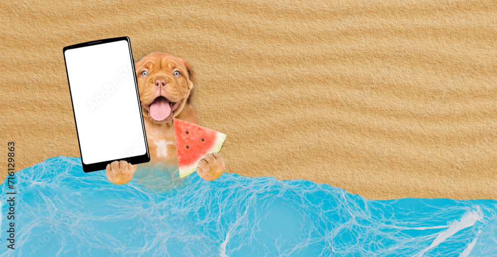 Poster Funny Mastiff puppy lying at beach holding watermelon and showing big smartphone with white blank screen in it paw. Empty space for text