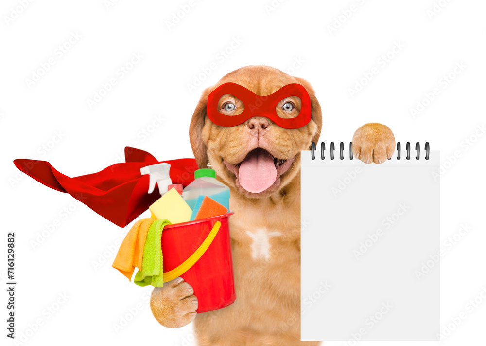 Poster funny mastiff puppy wearing superhero costume holds bucket with washing fluids and shows empty list.