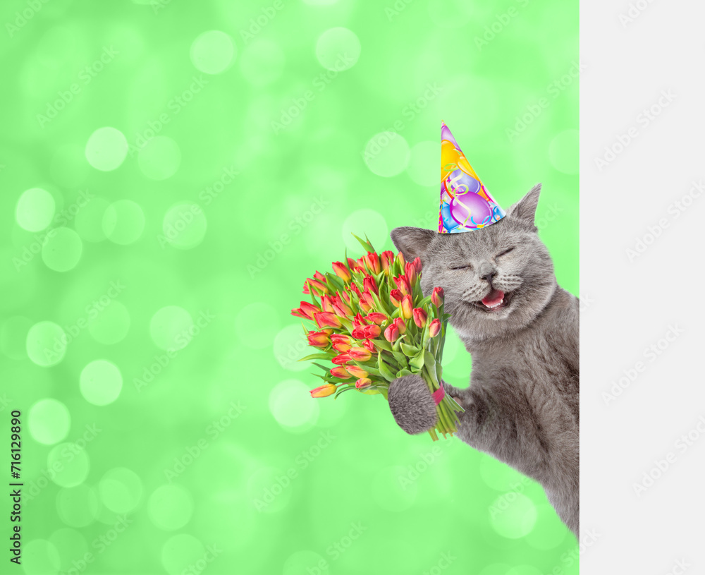 Poster happy cat wearing party cap holds bouquet of tulips and looks from behind empty white banner on fest