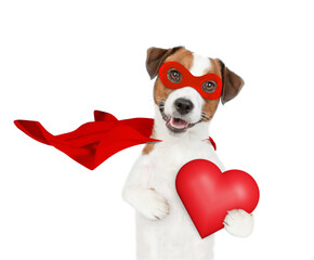 Funny jack russell terrier puppy wearing superhero costume holding red heart and looking away on...