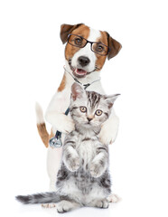 Smart jack russell terrier wearing like a doctor with stethoscope on his neck hugs tiny kitten....