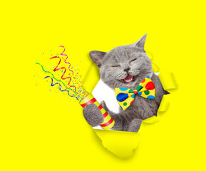 Happy cat wearing tie bow looks through the hole in yellow paper and holds exploding firecracker