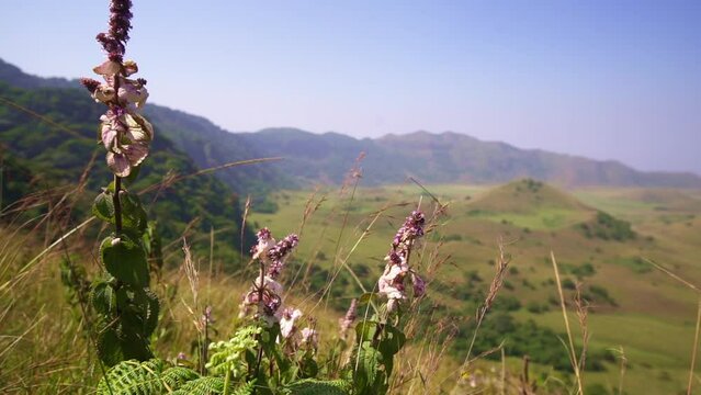 View of the hills of Lake Melong region in Cameroon, Africa