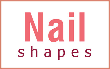 Nail shapes text icon cartoon vector. Studio design. Beauty hand care - obrazy, fototapety, plakaty