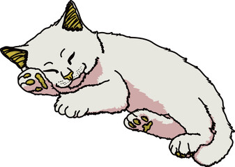 猫（cat）(eps)