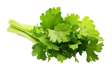 illustration of a green celery with a green leaf, Isolated on transparent PNG background, Generative ai