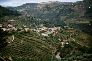 View of the village and vineyards of the Douro Valley, Portugal.