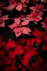 red leaves background