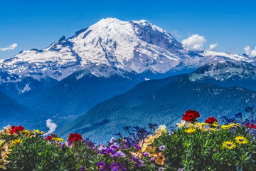 Colorful Flowers Mount Rainier Crystal Mountain Lookout Pierce County Washington - obrazy, fototapety, plakaty